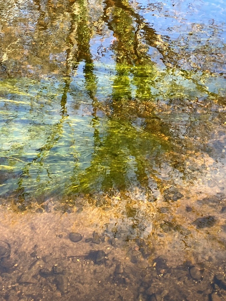 Psychotherapy Consultation with David Slattery