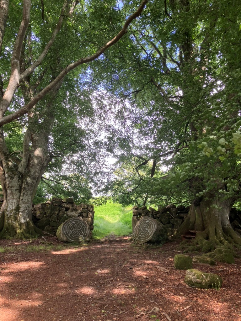 Centre for Relational Couples Therapy