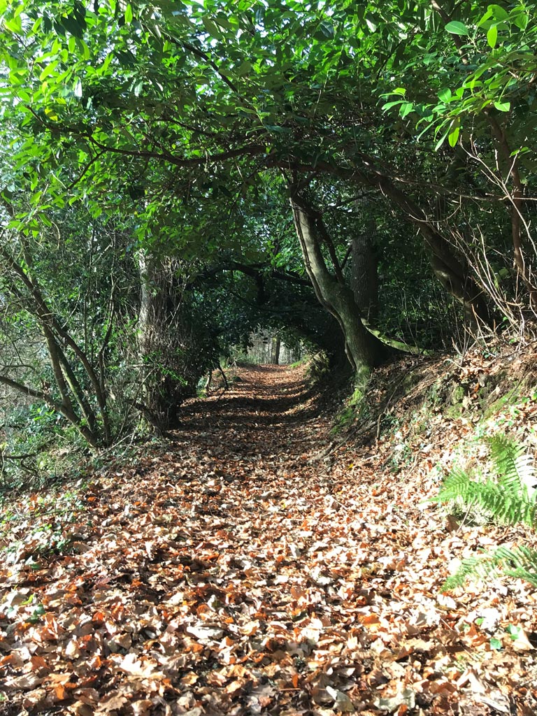 each therapeutic process has its own momentum and timescale