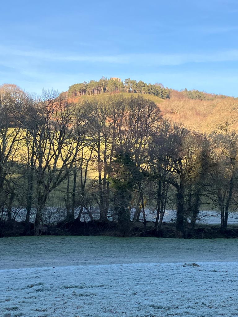 how can therapy help?